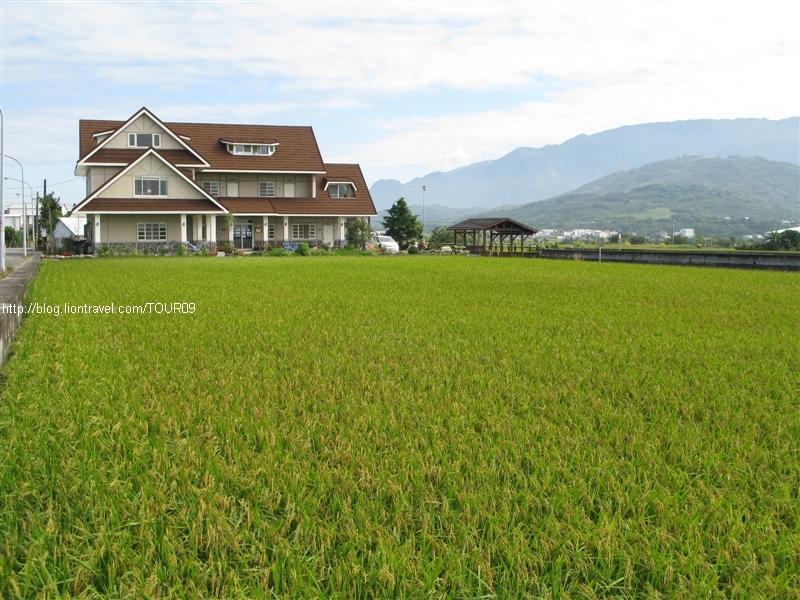 Xian Qing Yu Zhi Homestay Trì Thượng Ngoại thất bức ảnh